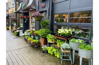 Vivio Flower Gallery