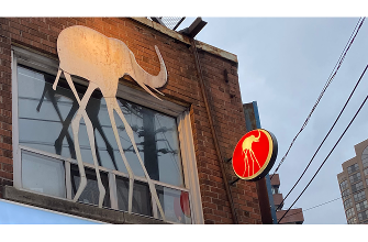 Salon de elephant