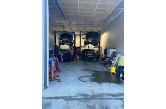 Young Motors
